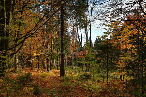 捷克共和国萨马瓦山的秋天景色