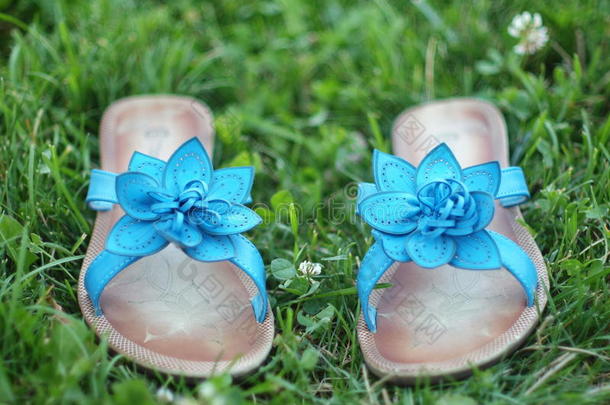 蓝色的<strong>夏鞋</strong>在草地上。