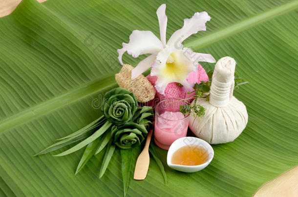 奶油新鲜草本植物面膜-包装潘达努斯。 棕榈，常春藤葫芦和蜂蜜，温泉与天然成分泰国。