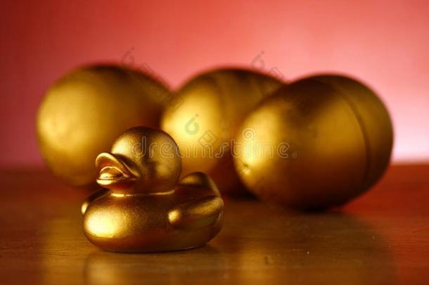 金蛋和金鸭