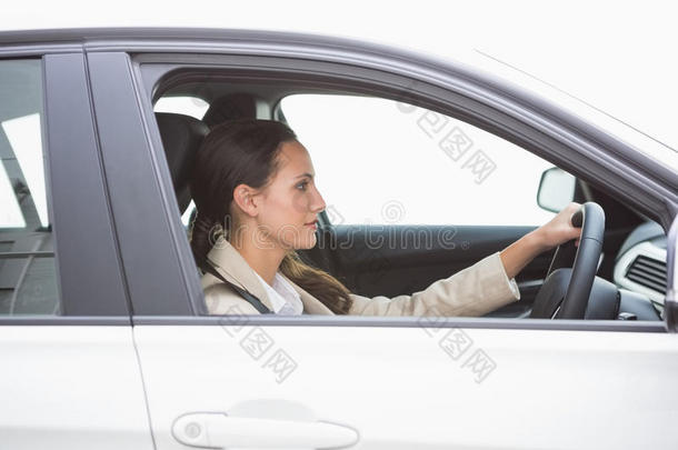 专注的漂亮商务女人开车