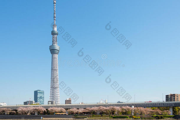 东京天空树