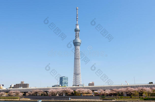 东京天空树