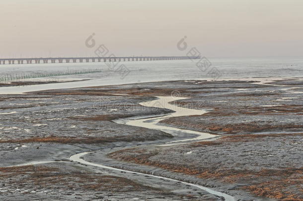金色的海藻，在滩涂的网，世界上最长的跨海大<strong>桥</strong>-<strong>杭州</strong>湾大<strong>桥</strong>