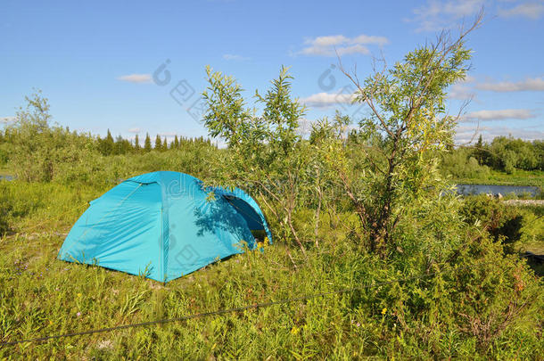 在草坪上露营帐篷。