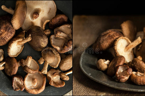 在喜怒无常的自然光线背景下，用复古风格制作新鲜香菇的图像