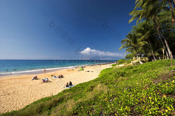 海滩蓝色海岸夏威夷小屋