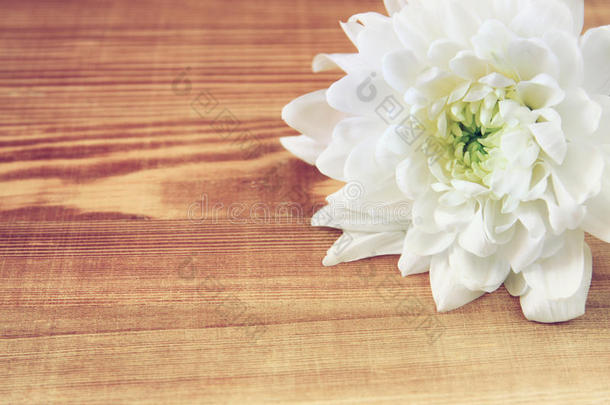 木桌上的花。 老式过滤图像