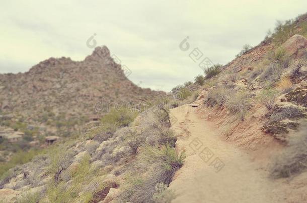 沙漠徒步旅行小径-微型，倾斜移动效果