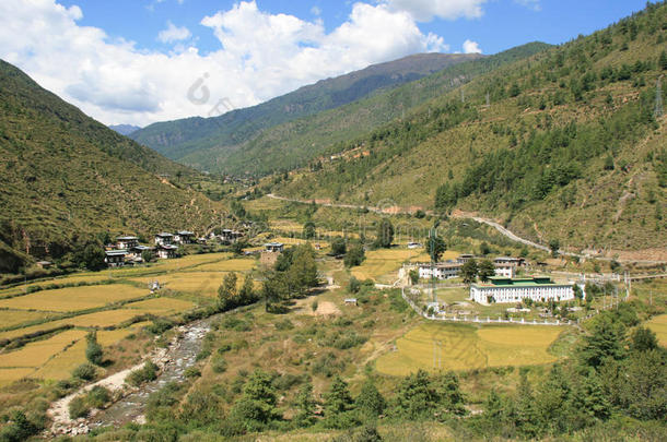 一条小溪流入帕罗和廷布之间的农村（不丹）