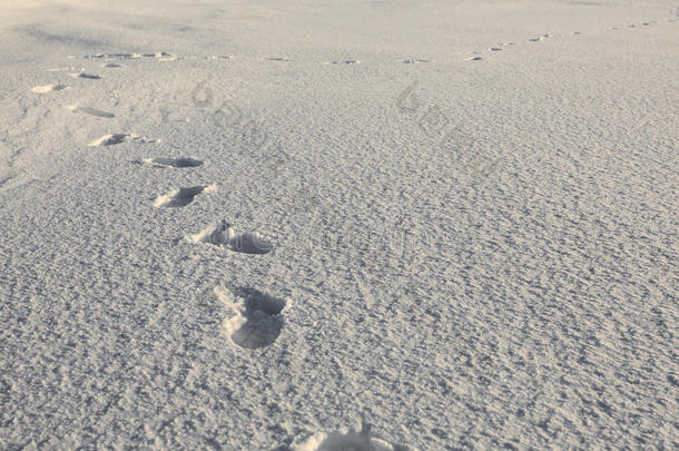 指纹脚步声冰冻的人类路径