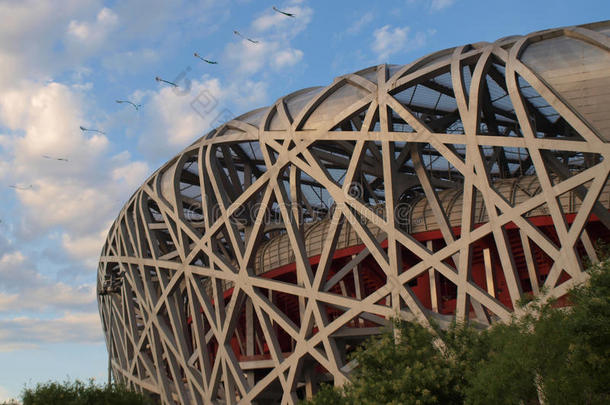 中国北京的鸟巢