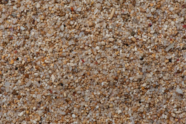 <strong>延伸</strong>到珊瑚和贝壳弗林德斯的沙子的特写镜头。