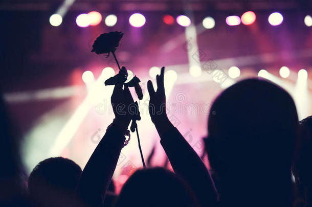 在大型摇滚音乐会上欢呼的人群。手举玫瑰剪影。