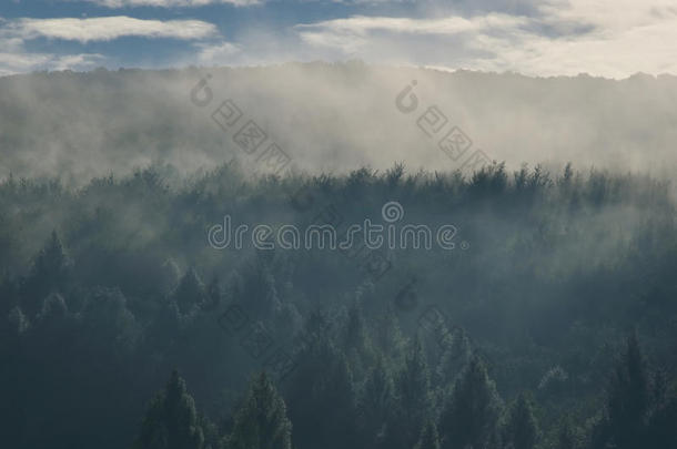 清新的早晨天空，山上有森林