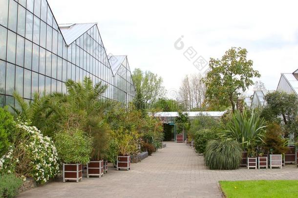温室和异国植物植物园，荷兰