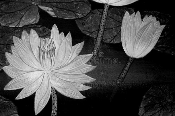 抽象的黑白莲花