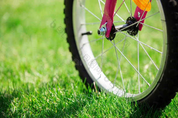 绿色草地上的<strong>儿童</strong>自行车