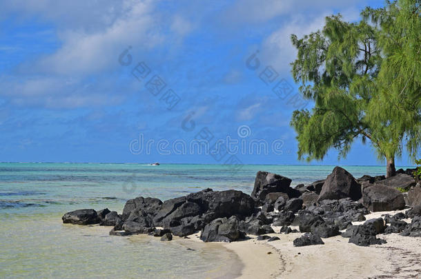 美丽的海滩，黑色的岩石在IleAuxCerfs毛里求斯