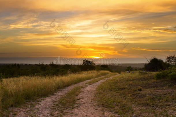 可爱的格拉斯兰夕阳和泥土路经过树和明亮的色彩云