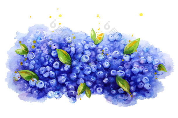蓝莓背景。 水彩画。 手绘。