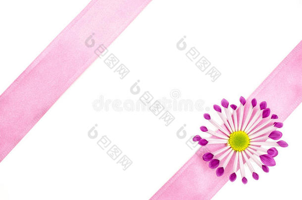 空明信片背景，粉红色的花和粉红色的丝带