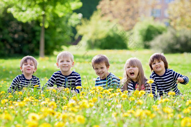 五个可爱的孩子，穿着条纹衬衫，<strong>拥</strong>抱和微笑，<strong>坐</strong>在蒲公英田野的草地上