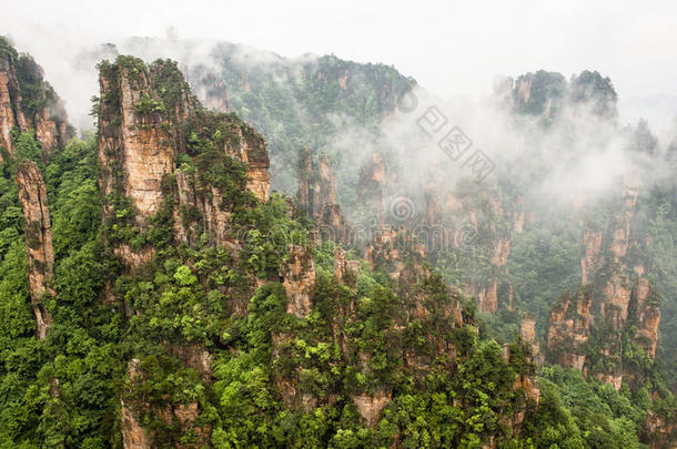 中国山在张杰佳