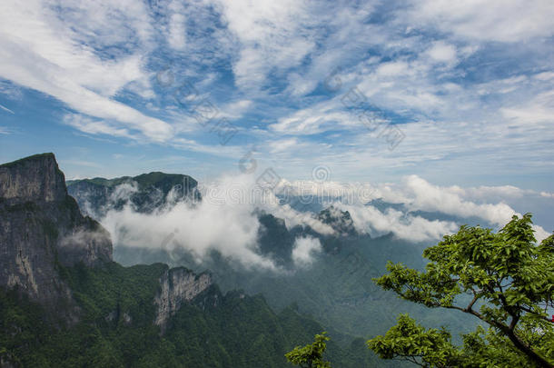 <strong>中国山</strong>在张杰佳