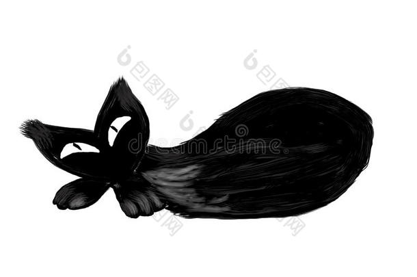 黑色猫绘画插图形象