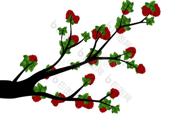 装饰春天的树枝剪影与草莓