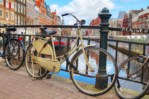 自行车停在阿姆斯特丹的浮动花卉市场附近
