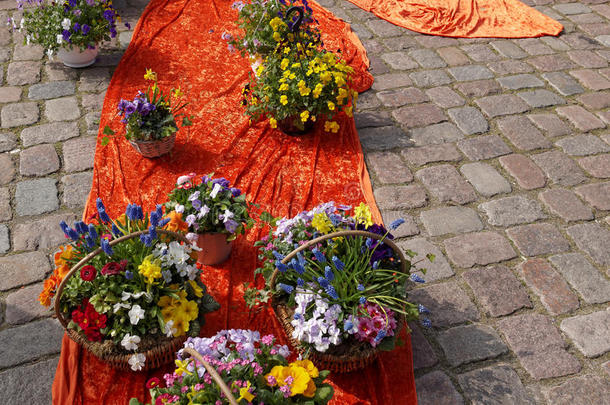 花在德国花卉市场出售