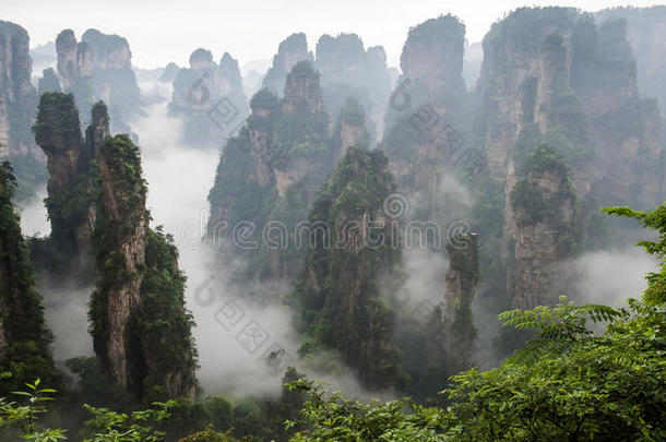 中国山在张杰佳