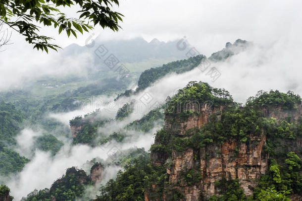 <strong>中国山</strong>在张杰佳