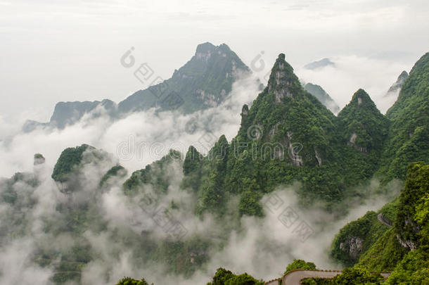 中国山在张杰佳