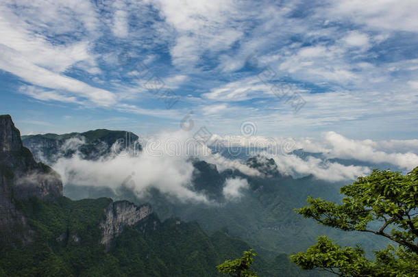 <strong>中国山</strong>在张杰佳