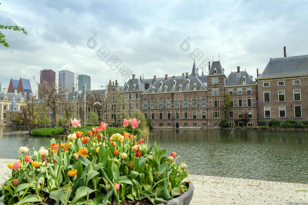 荷兰议会在海牙的背景下建造了宾恩霍夫和摩天<strong>大楼</strong>。