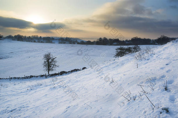 美丽的冬天风景覆盖着冬天的乡村