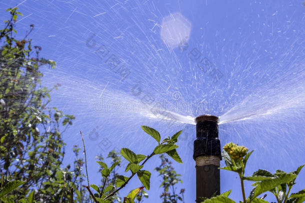 花园自动灌溉系统喷水器。