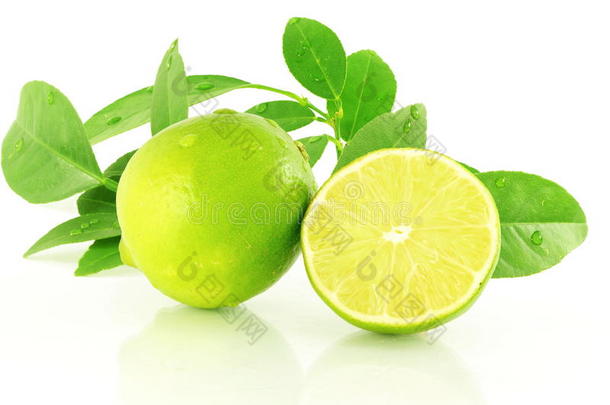 新鲜柠檬石灰柑橘类水果，叶白色背景