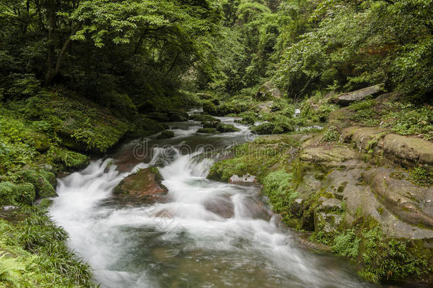 中国山在张杰佳