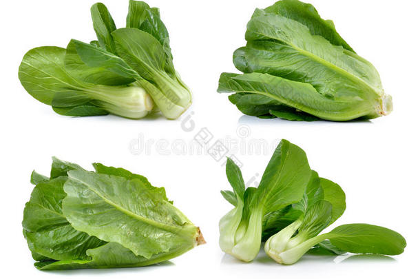 白底的Bokchoy蔬菜和cos生菜