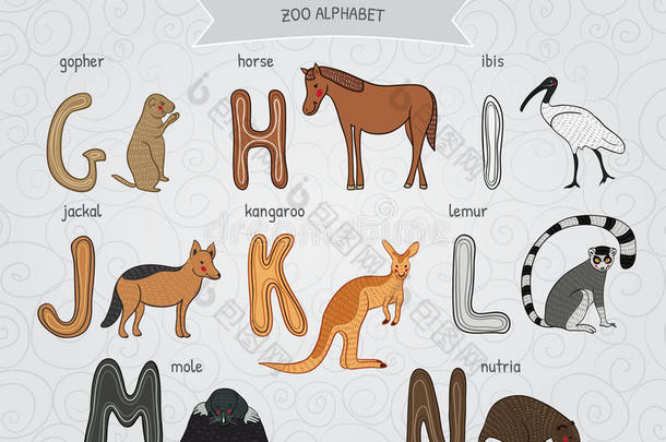 可爱的卡通有趣的动物园字母在矢量。 g，h，i，j，k，l，m，n个字母。 地鼠，马，伊比斯，豺狼，袋鼠，狐猴，鼹鼠，坚果