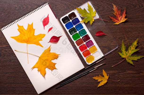 画册、颜料、画笔和秋叶