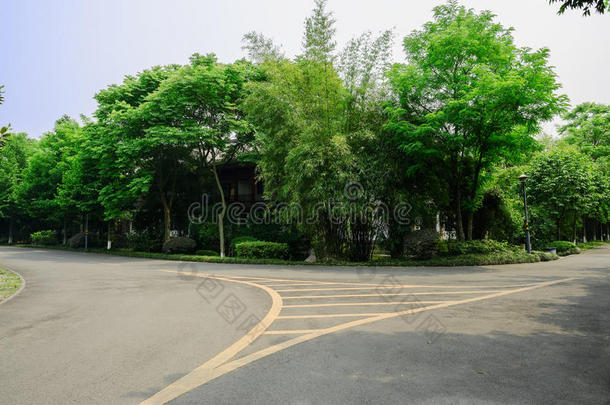 中国传统建筑在晴天的沥青路岔口