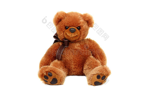 棕色泰迪熊娃娃孤立填充毛绒绒，坐着柔软的毛皮可爱的物体，可爱的小在白色背景上小礼物黄金
