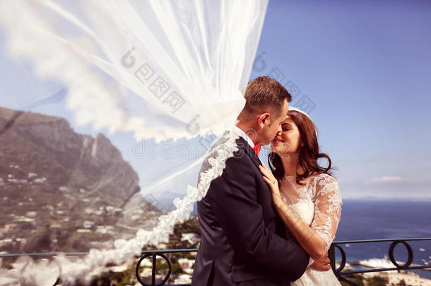 新娘和新郎在背景中用海雀接吻