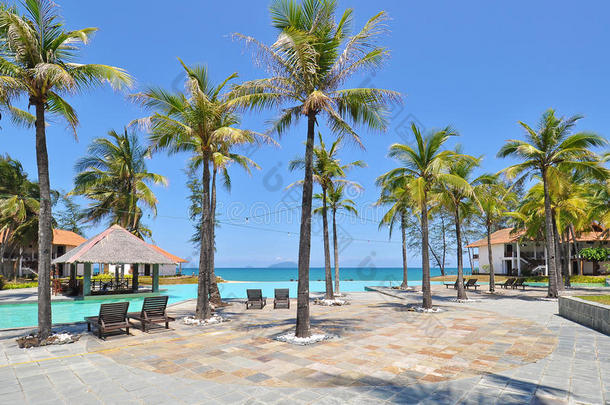 海滨度假胜地的沙滩椅、棕榈树和游泳池