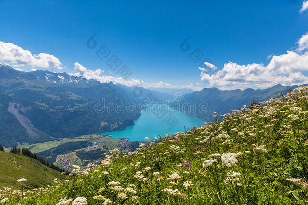 布里恩泽湖和阿尔卑斯山的鸟瞰图